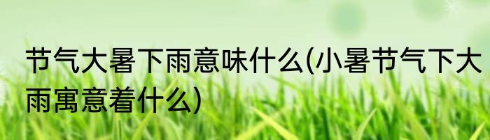 节气大暑下雨意味什么(小暑节气下大雨寓意着什么)
