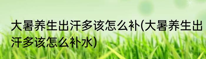 大暑养生出汗多该怎么补(大暑养生出汗多该怎么补水)