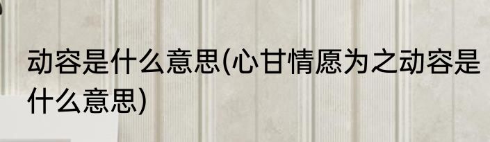 动容是什么意思(心甘情愿为之动容是什么意思)