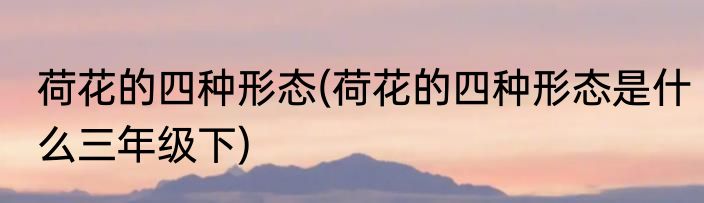 荷花的四种形态(荷花的四种形态是什么三年级下)