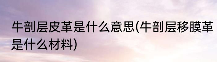 牛剖层皮革是什么意思(牛剖层移膜革是什么材料)