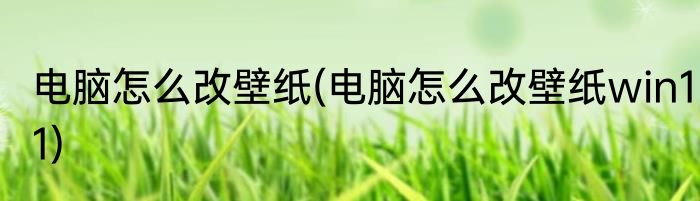 电脑怎么改壁纸(电脑怎么改壁纸win11)