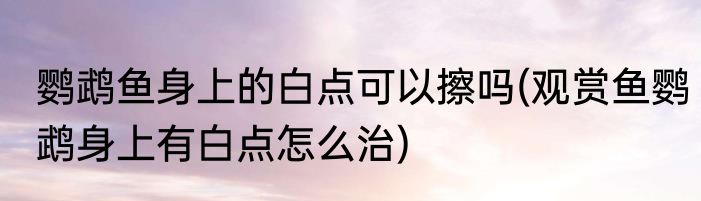 鹦鹉鱼身上的白点可以擦吗(观赏鱼鹦鹉身上有白点怎么治)