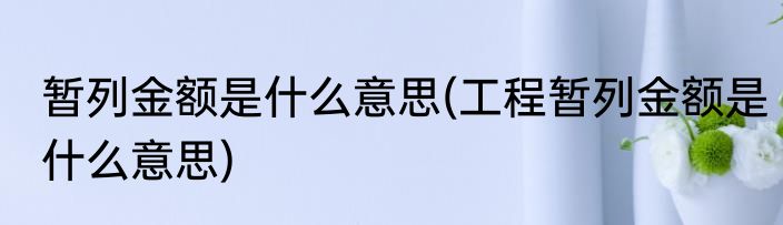暂列金额是什么意思(工程暂列金额是什么意思)