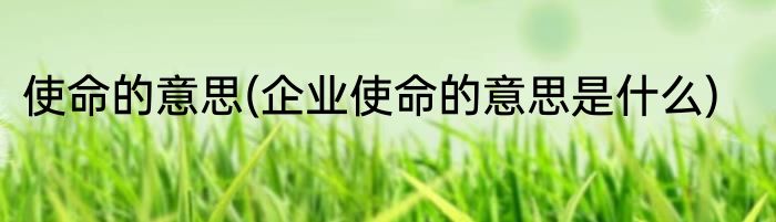 使命的意思(企业使命的意思是什么)