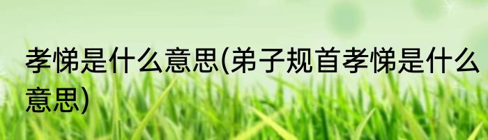 孝悌是什么意思(弟子规首孝悌是什么意思)