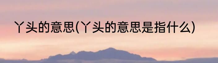 丫头的意思(丫头的意思是指什么)