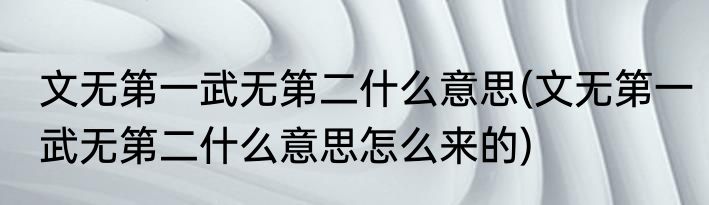 文无第一武无第二什么意思(文无第一武无第二什么意思怎么来的)
