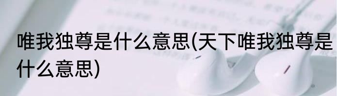 唯我独尊是什么意思(天下唯我独尊是什么意思)