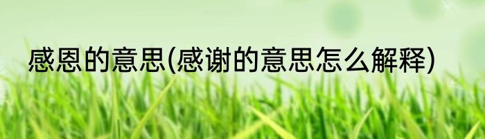 感恩的意思(感谢的意思怎么解释)