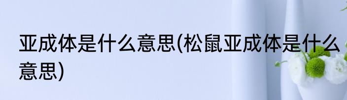 不堪回首什么意思(岁月不堪回首什么意思)