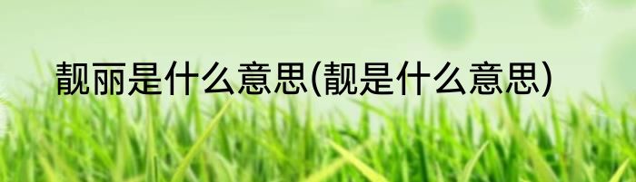 靓丽是什么意思(靓是什么意思)