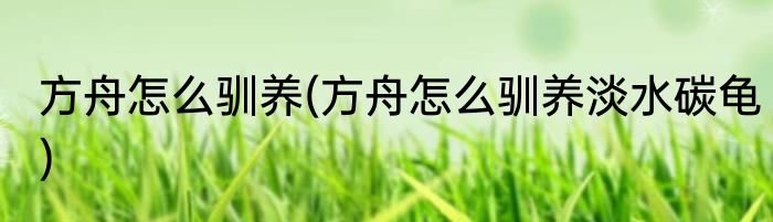 方舟怎么驯养(方舟怎么驯养淡水碳龟)