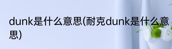dunk是什么意思(耐克dunk是什么意思)