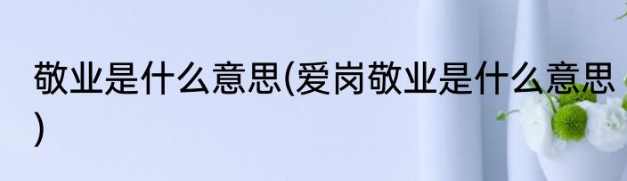 敬业是什么意思(爱岗敬业是什么意思)