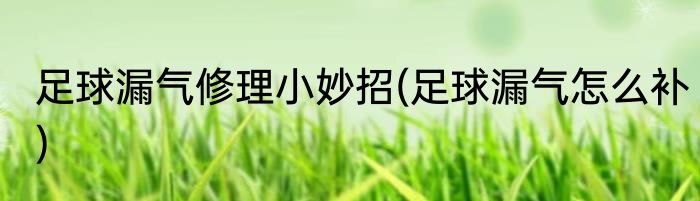 足球漏气修理小妙招(足球漏气怎么补)