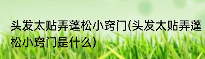 头发太贴弄蓬松小窍门(头发太贴弄蓬松小窍门是什么)