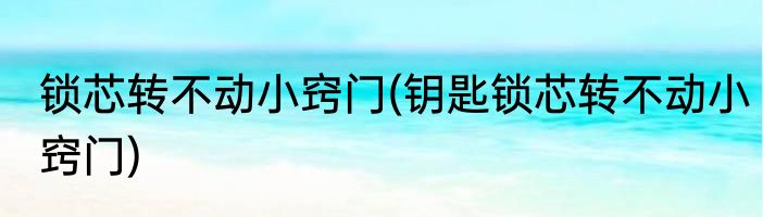 锁芯转不动小窍门(钥匙锁芯转不动小窍门)