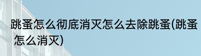 跳蚤怎么彻底消灭怎么去除跳蚤(跳蚤 怎么消灭)