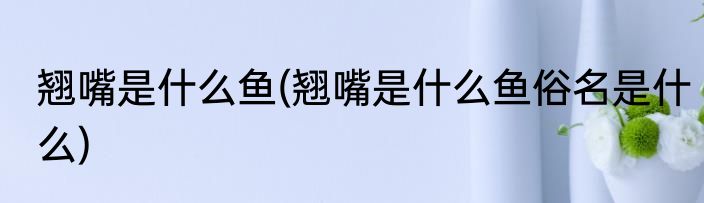 翘嘴是什么鱼(翘嘴是什么鱼俗名是什么)