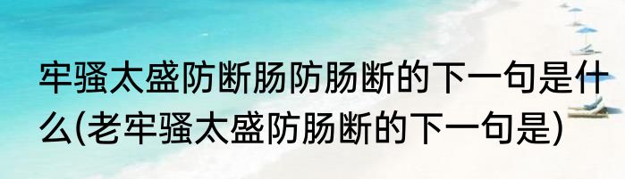 牢骚太盛防断肠防肠断的下一句是什么(老牢骚太盛防肠断的下一句是)