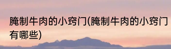 腌制牛肉的小窍门(腌制牛肉的小窍门有哪些)