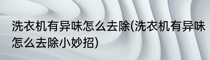 洗衣机有异味怎么去除(洗衣机有异味怎么去除小妙招)