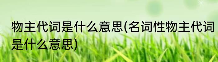 物主代词是什么意思(名词性物主代词是什么意思)