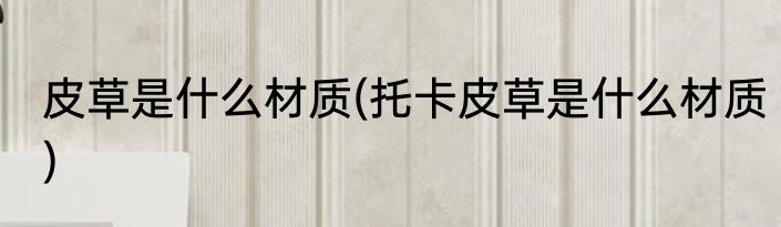 皮草是什么材质(托卡皮草是什么材质)