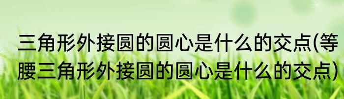 三角形外接圆的圆心是什么的交点(等腰三角形外接圆的圆心是什么的交点)