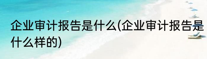 企业审计报告是什么(企业审计报告是什么样的)