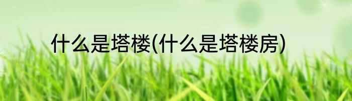 什么是塔楼(什么是塔楼房)