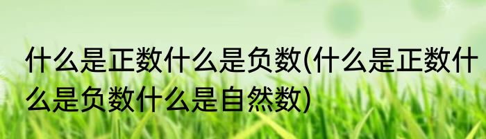 什么是正数什么是负数(什么是正数什么是负数什么是自然数)
