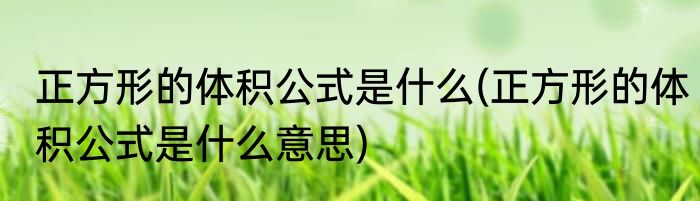 正方形的体积公式是什么(正方形的体积公式是什么意思)