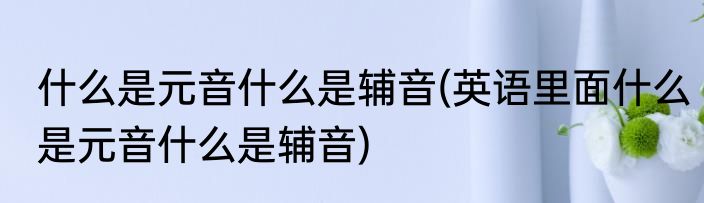 什么是元音什么是辅音(英语里面什么是元音什么是辅音)