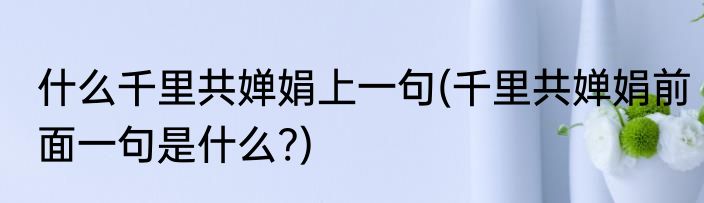 什么千里共婵娟上一句(千里共婵娟前面一句是什么?)