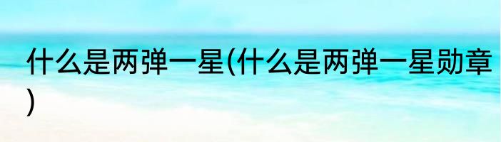 什么是两弹一星(什么是两弹一星勋章)