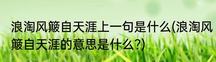浪淘风簸自天涯上一句是什么(浪淘风簸自天涯的意思是什么?)