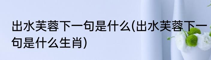 出水芙蓉下一句是什么(出水芙蓉下一句是什么生肖)