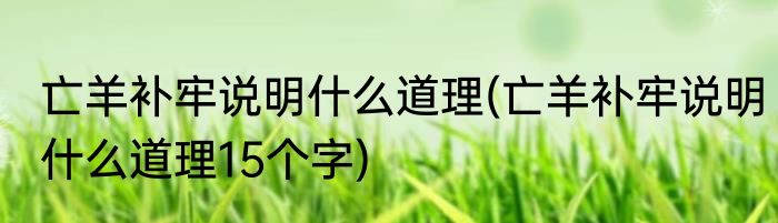 亡羊补牢说明什么道理(亡羊补牢说明什么道理15个字)