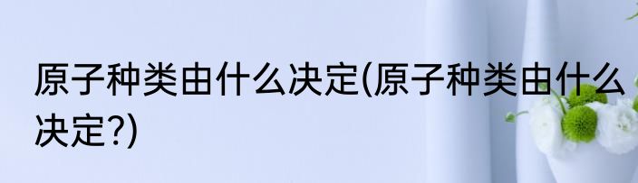 原子种类由什么决定(原子种类由什么决定?)