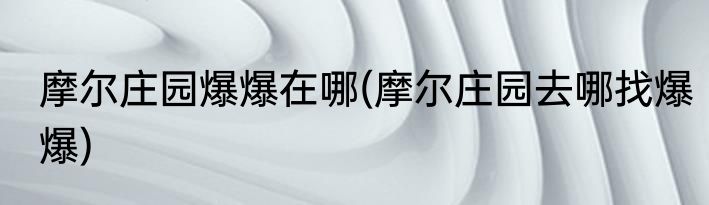 摩尔庄园爆爆在哪(摩尔庄园去哪找爆爆)