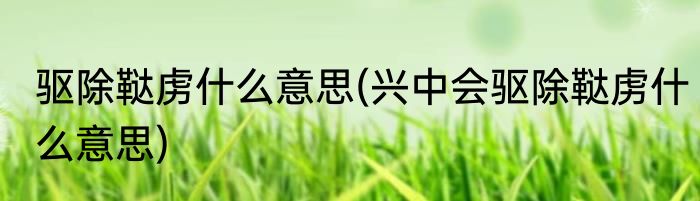 驱除鞑虏什么意思(兴中会驱除鞑虏什么意思)