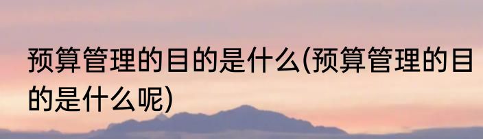 预算管理的目的是什么(预算管理的目的是什么呢)