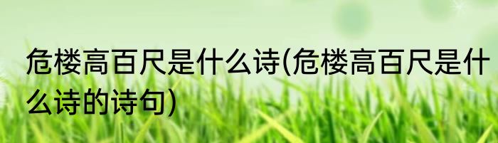 危楼高百尺是什么诗(危楼高百尺是什么诗的诗句)