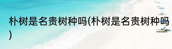 朴树是名贵树种吗(朴树是名贵树种吗)