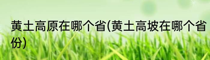 黄土高原在哪个省(黄土高坡在哪个省份)