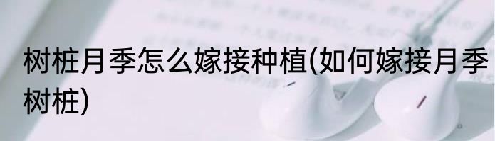 中国最大的河是什么河(中国最大的河是什么河黄河有多长啊)