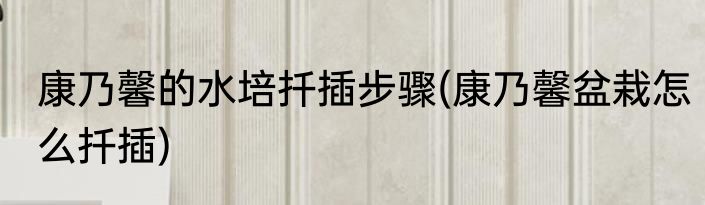 康乃馨的水培扦插步骤(康乃馨盆栽怎么扦插)