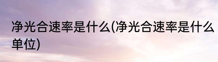 净光合速率是什么(净光合速率是什么单位)